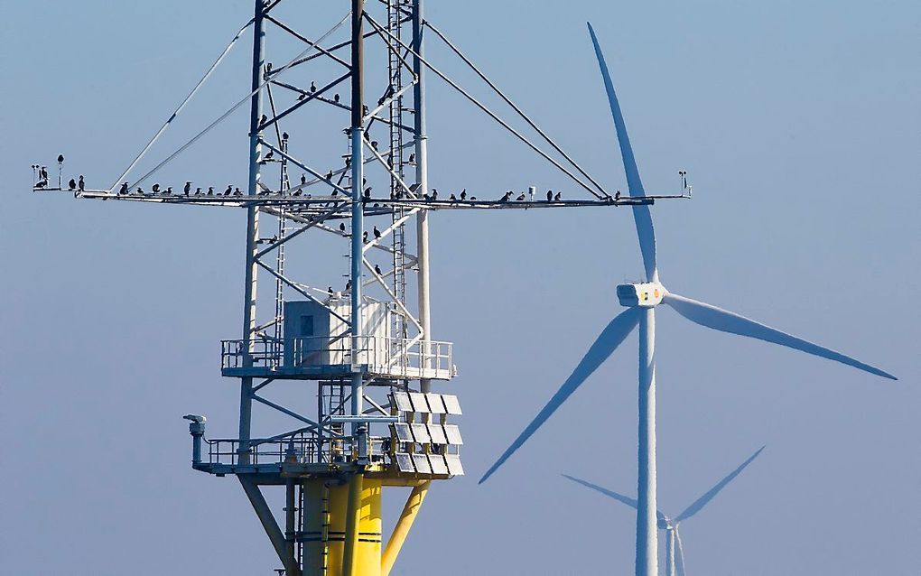 Nederlands windmolenpark. beeld ANP