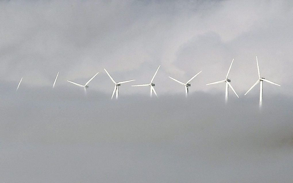 Weggebruikers moeten dinsdagochtend in grote delen van het land plaatselijk rekening houden met dichte mist.  beeld ANP