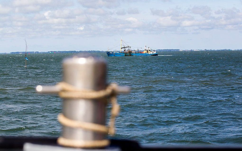 Oosterschelde. beeld ANP, Jeroen Jumelet