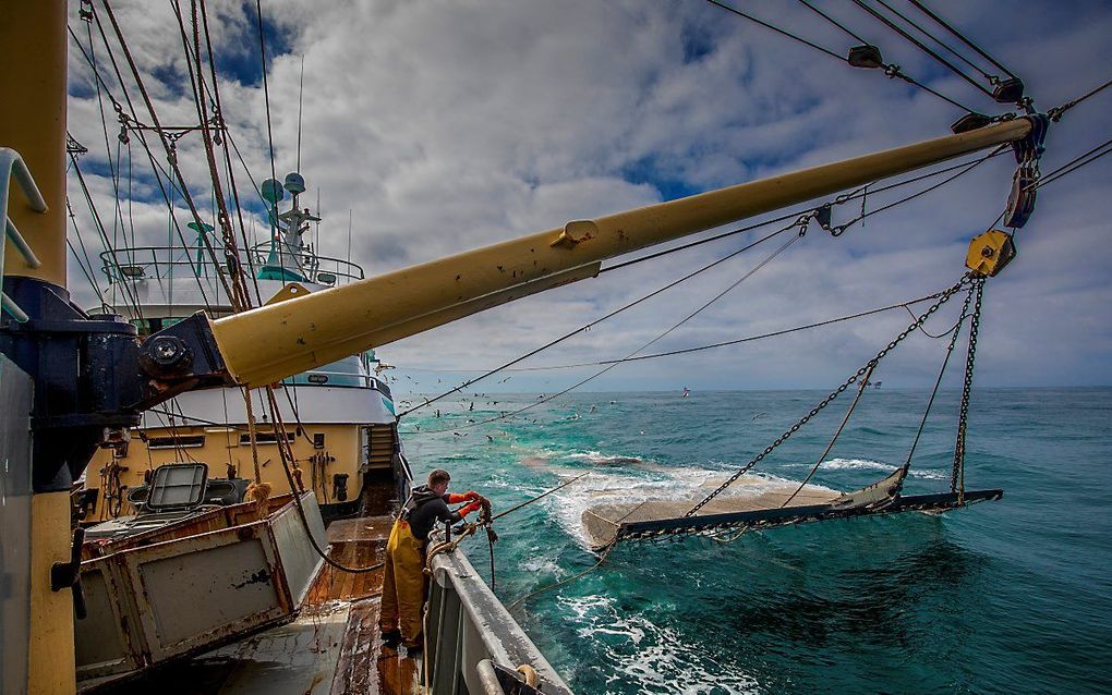 Nederlandse pulsvissers aan het werk op de Noordzee. beeld ANP, Niels Wenstedt