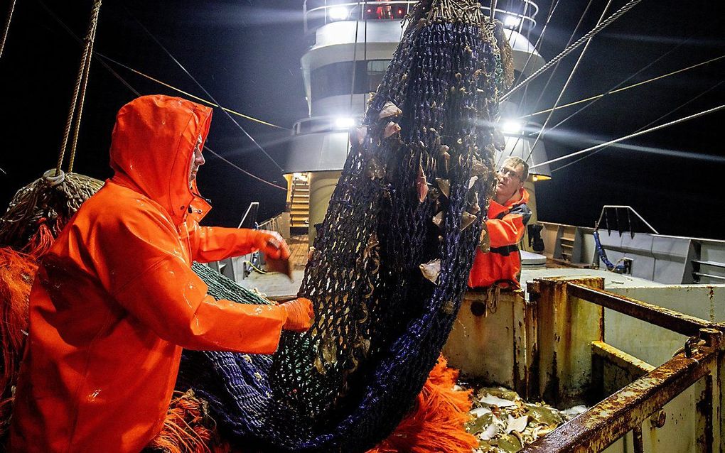 Nederlandse vissers aan het werk op de Noordzee. beeld ANP, Niels Wenstedt