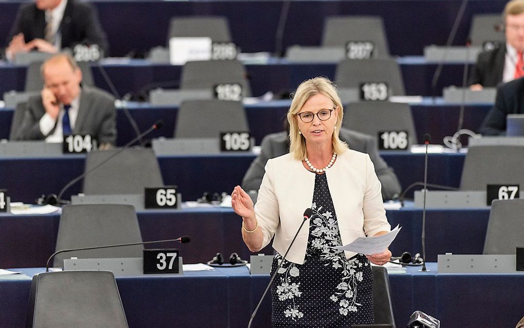 CDA-Europarlementariër Annie Schreijer. beeld ANP