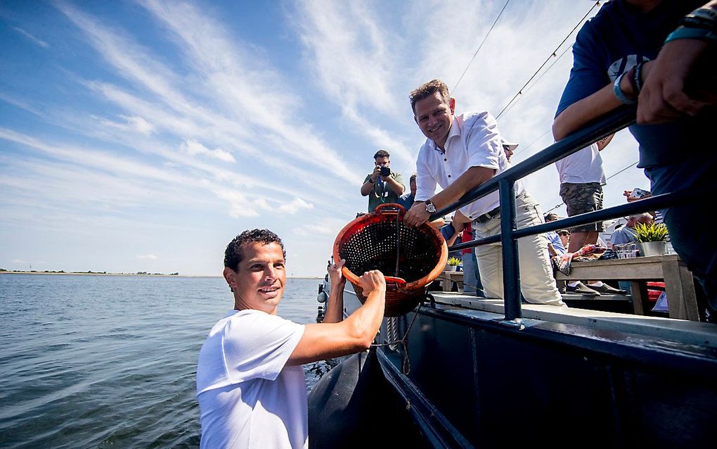 Begin van het mosselseizoen, 2018. beeld ANP