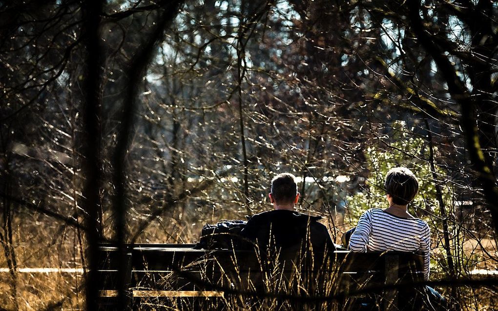 Juist in een tijd waarin digitale techniek en vluchtige communicatie het leven beheersen, zoeken mensen rust en stilte in de natuur. Ze stappen stevig door op een onmetelijk en verlaten strand. Ze ploffen neer in de schaduw van een eeuwenoude eik. beeld ANP