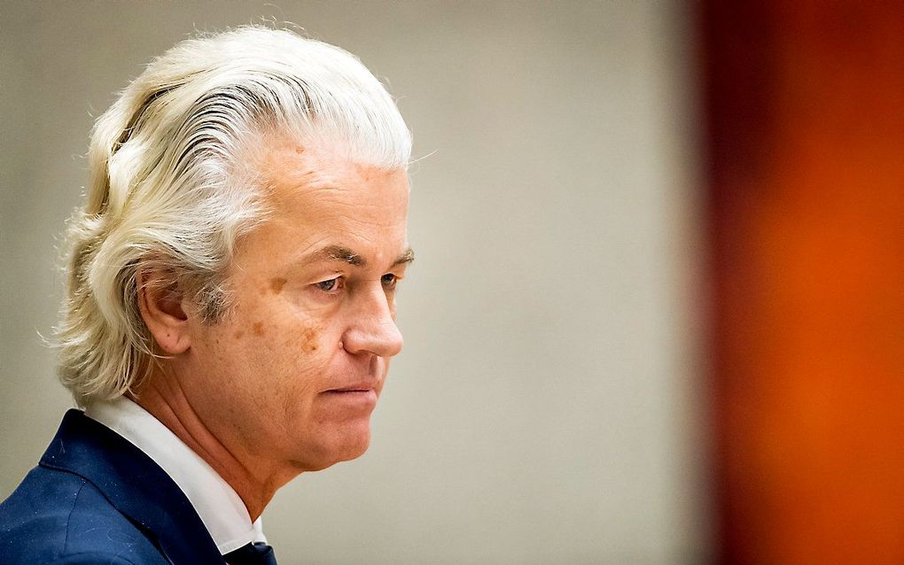 Wilders. beeld ANP