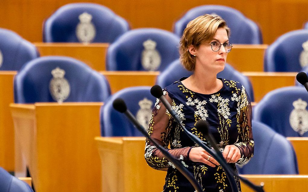 CDA-Kamerlid Hilde Palland. beeld ANP, Remko de Waal