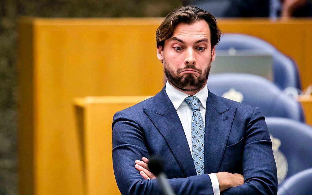 Baudet. beeld ANP