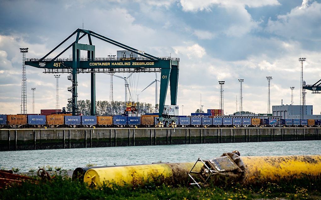 De haven van Zeebrugge. beeld AFP