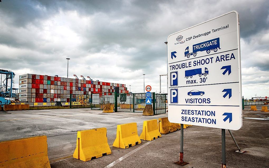 Haven van Zeebrugge. beeld AFP