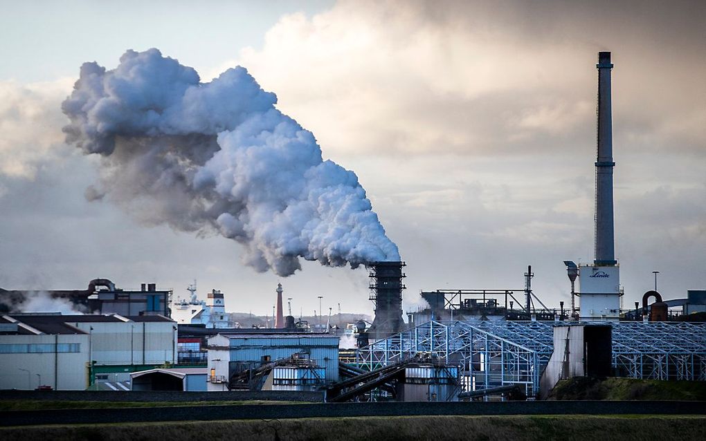 De vestiging van Tata Steel in IJmuiden. beeld ANP, Jeroen Jumelet