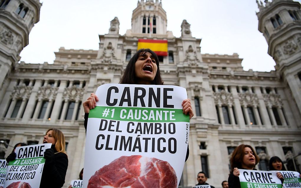 Vlees is de belangrijkste oorzaak van klimaatverandering, stellen klimaatactivisten in Madrid. beeld AFP