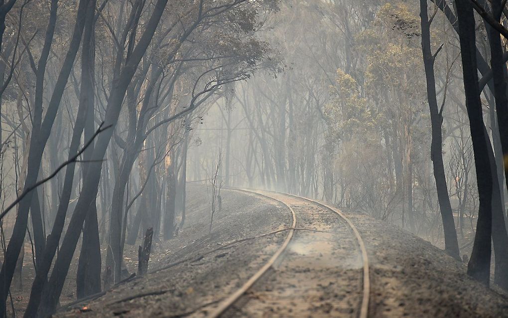 beeld AFP