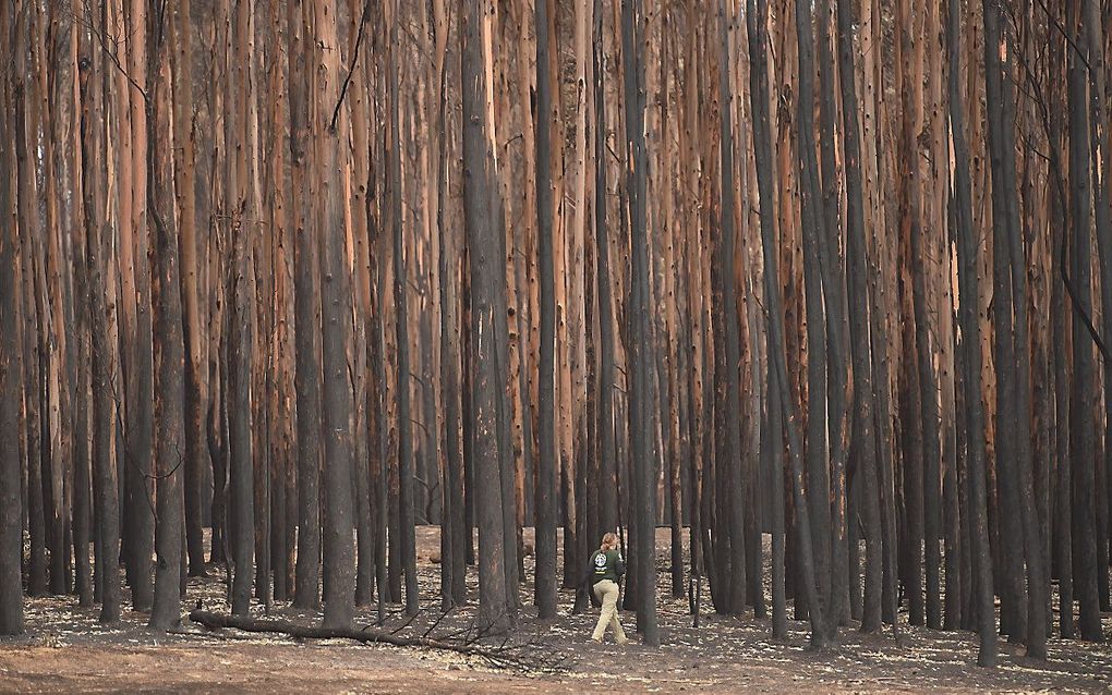 beeld AFP