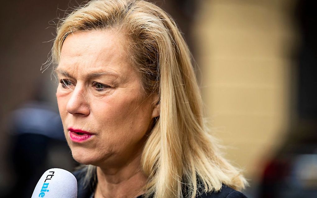 Minister Kaag (Buitenlandse Handel en Ontwikkelingssamenwerking). beeld ANP, Remko de Waal