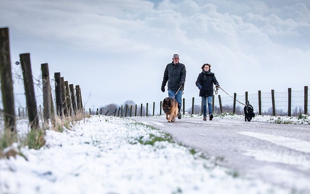 Een laagje sneeuw in Maasdam op 28 februari. beeld ANP