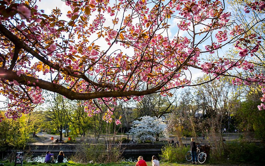 Genieten in een park in Berlijn. beeld EPA