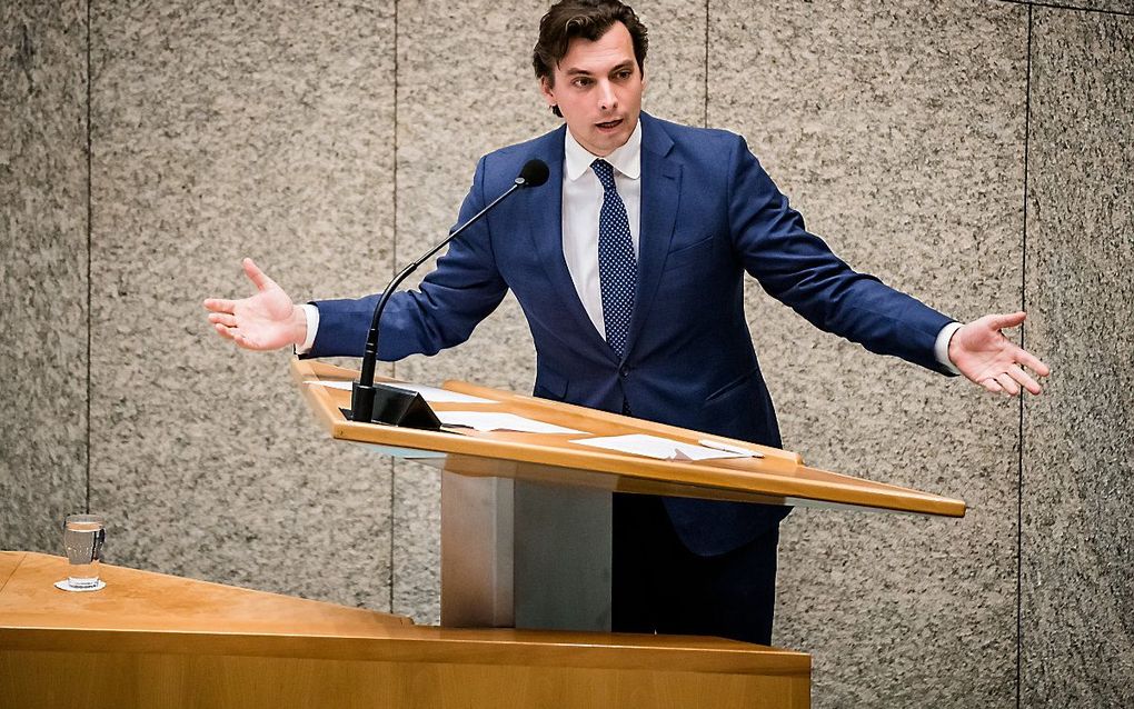 Baudet. beeld ANP