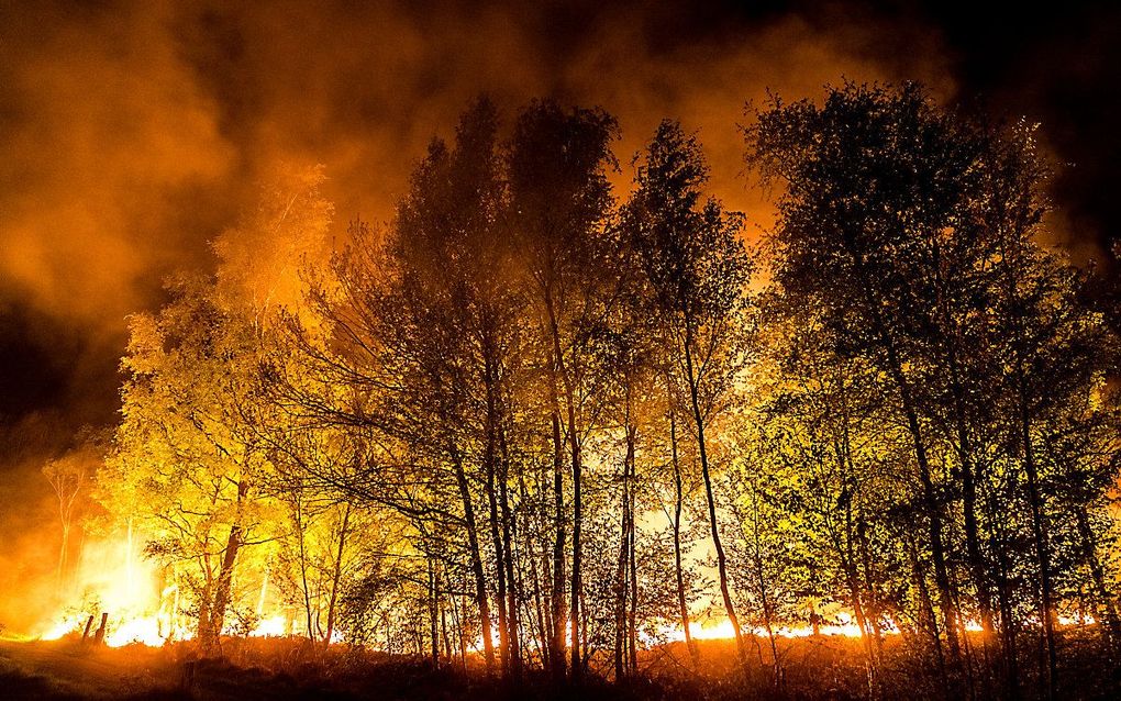 De Deurnese Peel tijdens de brand. beeld EPA