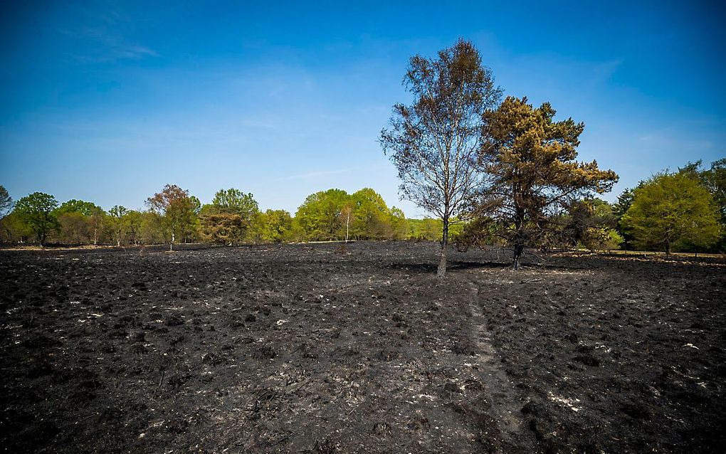 De brand in het natuurgebied is uit, zegt de brandweer. beeld ANP