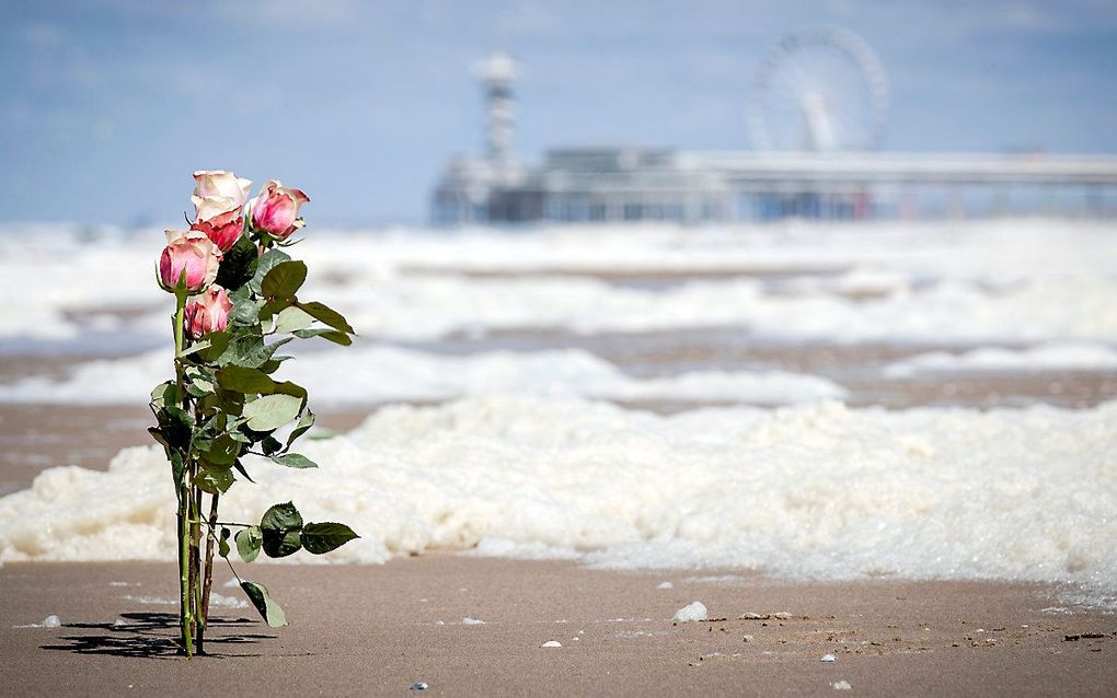 Bloemen op het strand van Scheveningen. beeld ANP