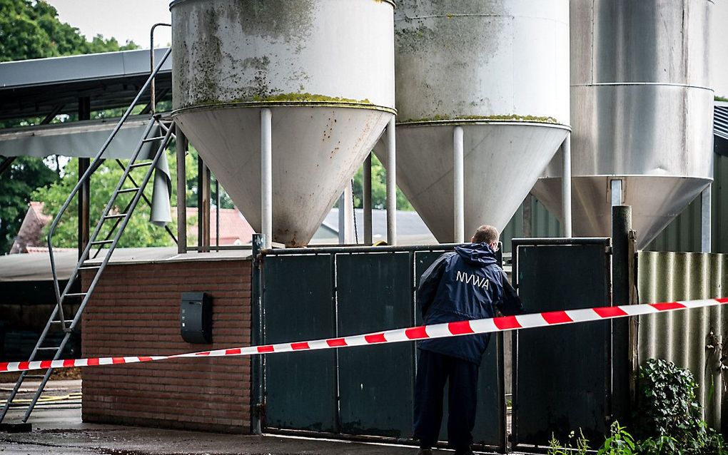 De afgelopen weken werden diverse nertsenhouderijen geruimd, waaronder dit bedrijf in Deurne. beeld ANP, Rob Engelaar