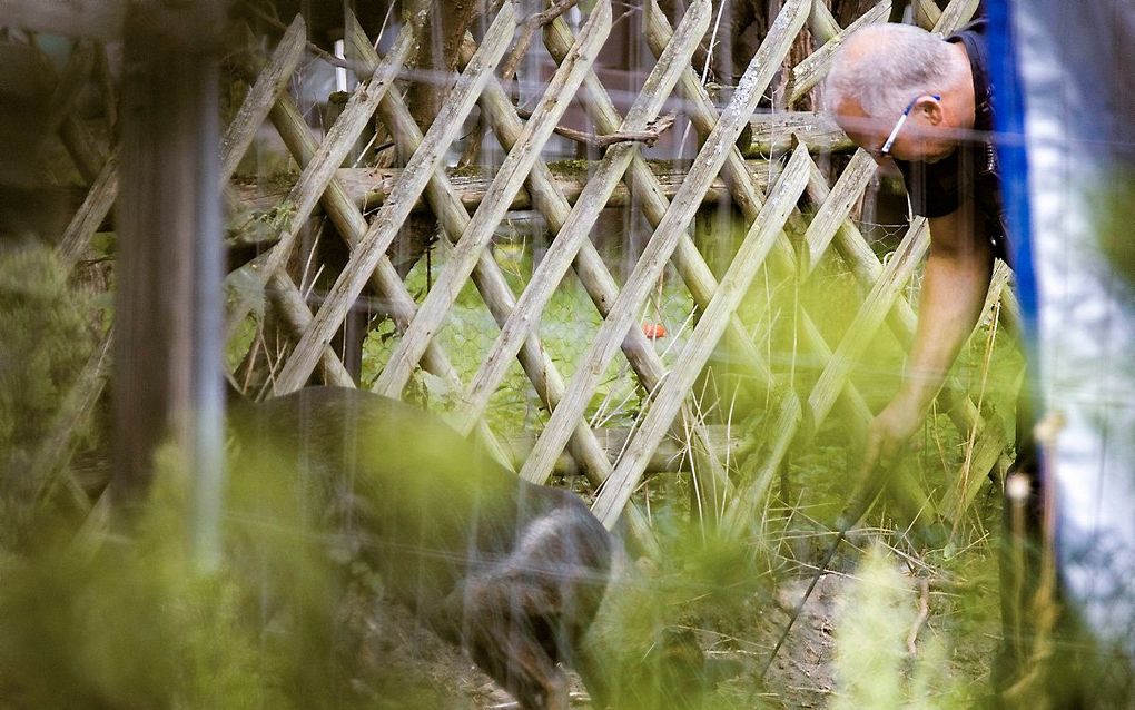 De Duitse politie aan het werk tijdens een huiszoeking in een volkstuintje in de Noord-Duitse stad Hannover op 29 juli 2020 in verband met de verdwijning van het Britse meisje Madeleine McCann. Beeld AFP, Hauke-Christian Dittrich