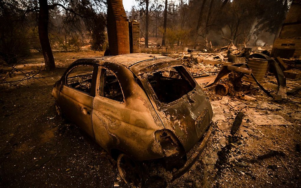 Verwoesting na bosbranden in Californie. beeld AFP, Samuel Corum