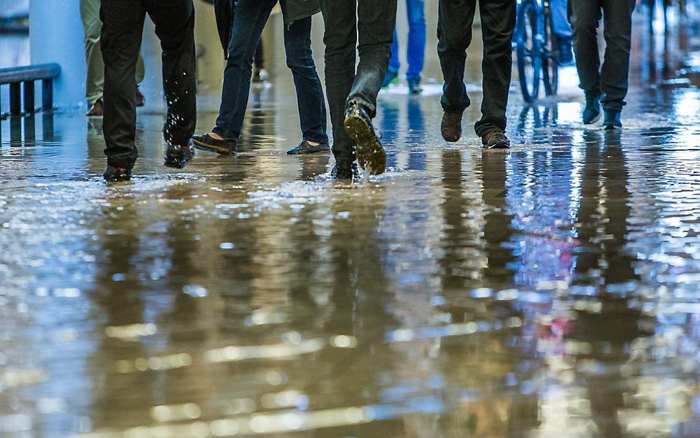 e maand is nog niet helemaal voorbij, maar nu al is duidelijk dat deze september de natste is sinds 2001. beeld ANP