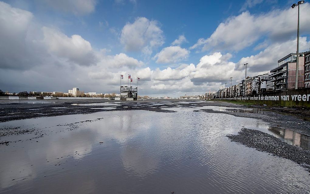 De Schelde in Antwerpen. beeld ANP