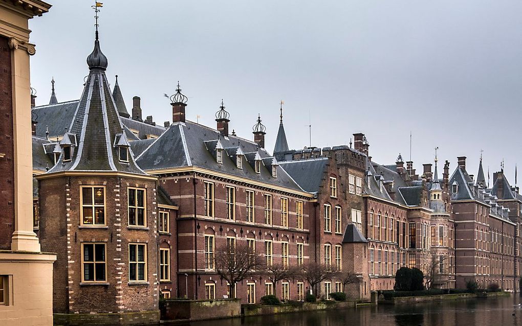 Het torentje (links) en gebouwen aan het Binnenhof. beeld ANP