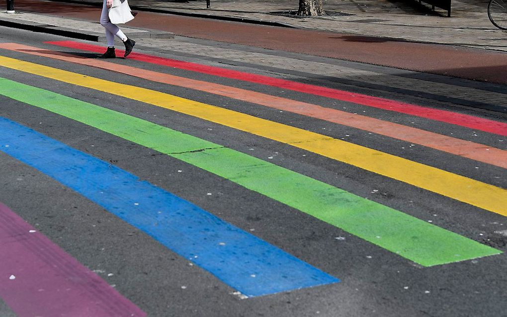 Een regenboogzebrapad in Tilburg. beeld ANP