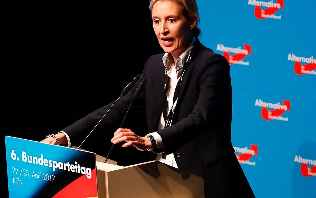 Alice Weidel. beeld AFP