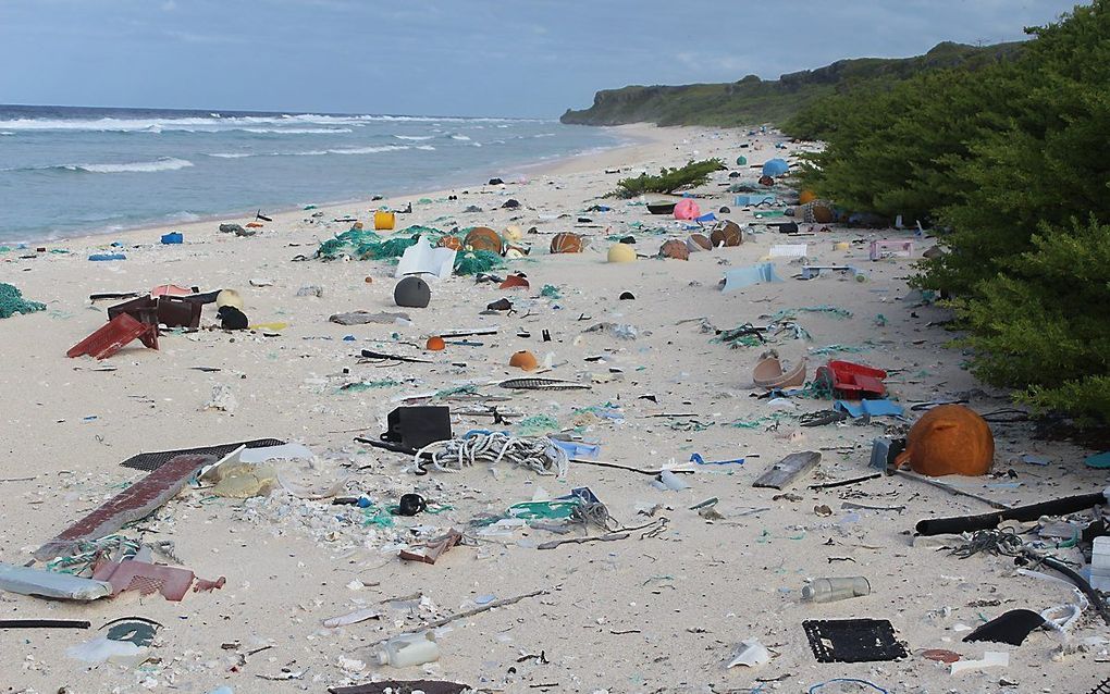 Een minuscuul, onbewoond eilandje in het zuiden van de Grote Oceaan ligt 5000 kilometer van de dichtstbijzijnde menselijke bewoning, maar de stranden kampen met de hoogste concentratie plastic ter wereld.  beeld EPA