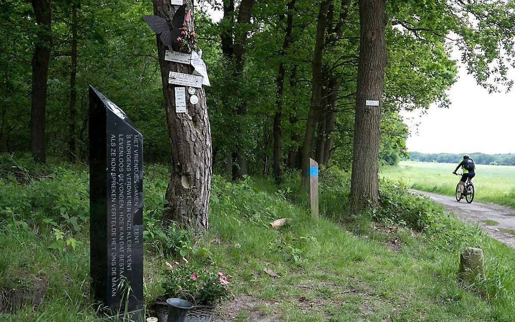 Monument op Brunssummerheide vlakbij de vindplaats van Nicky Verstappen. beeld ANP