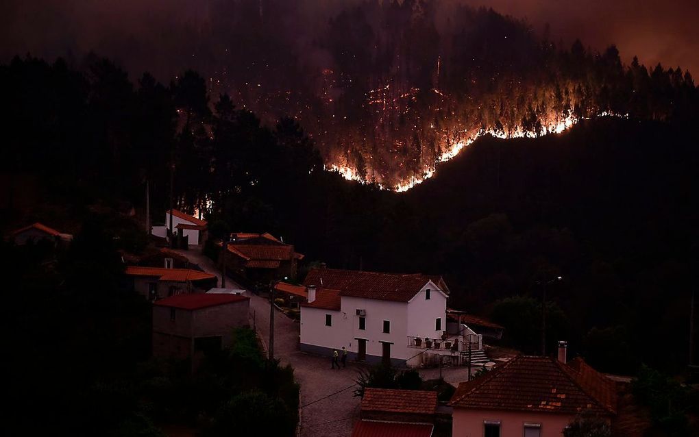 Bosbranden in centraal Portugal. beeld AFP