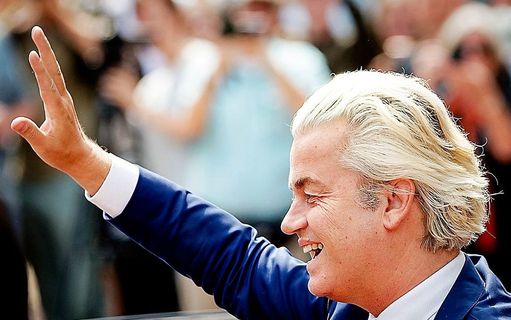 Wilders. beeld ANP