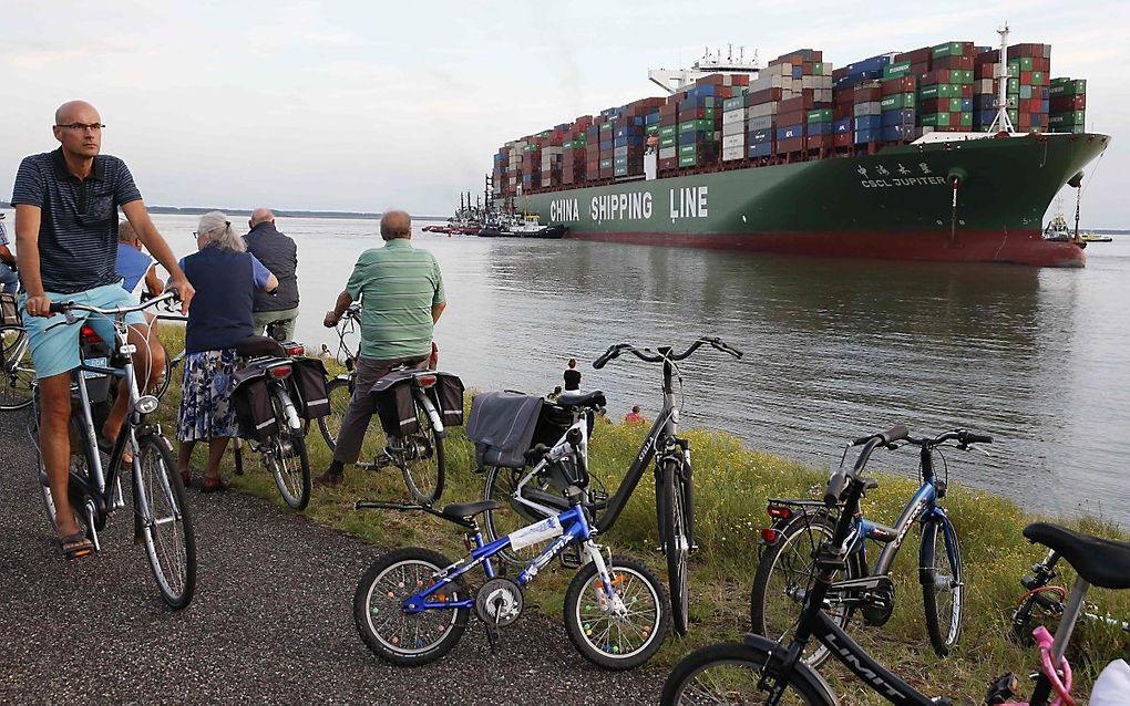 Het vastgelopen containerschip in de Westerschelde. beeld ANP