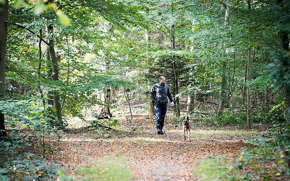 Zoektocht woensdag in het bos bij Huis ter Heide. beeld ANP