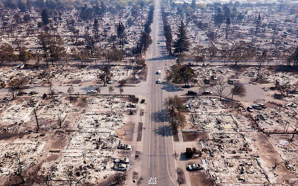 Santa Rosa, Californie, na de branden. beeld AFP