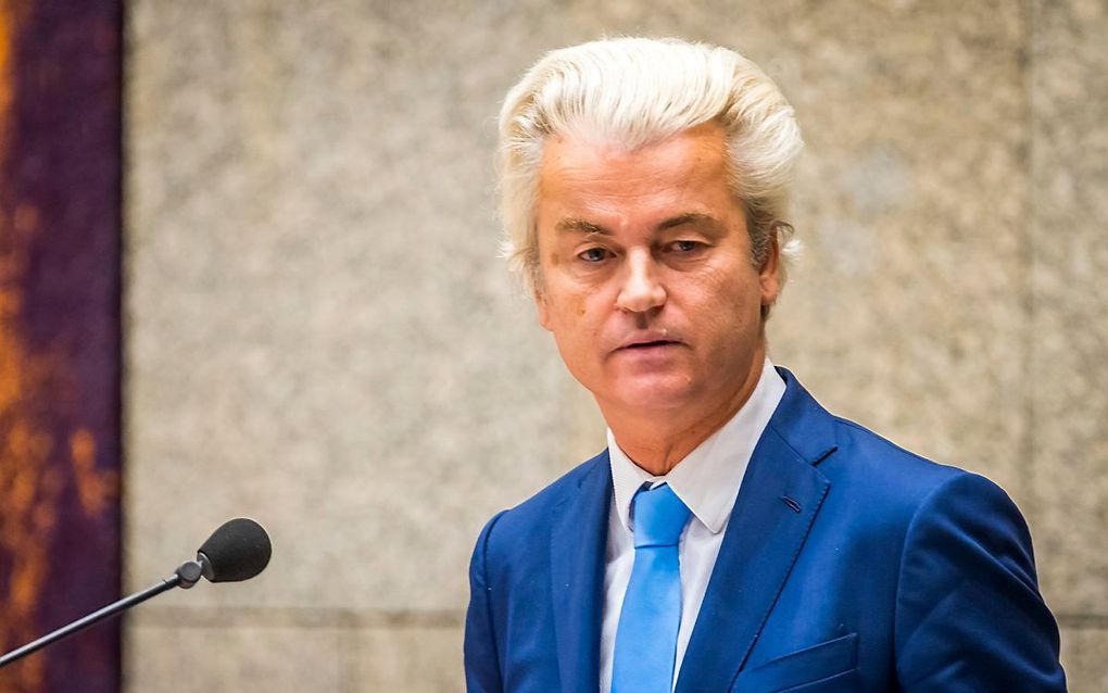 Wilders. beeld ANP