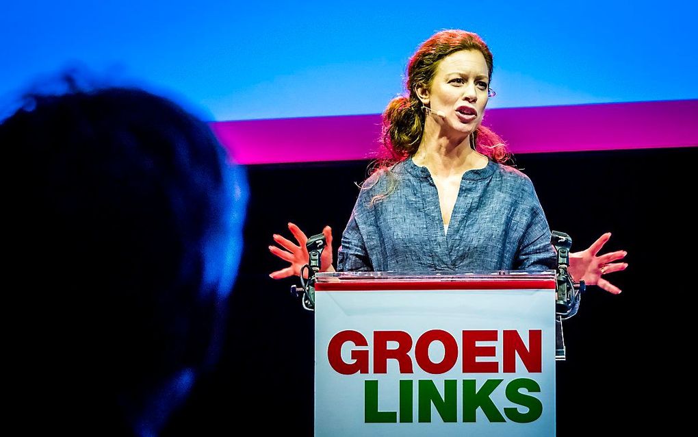 Partijvoorzitter Marjolein Meijer en Tweede Kamerlid Rik Grashoff van GroenLinks zijn opgestapt. beeld ANP