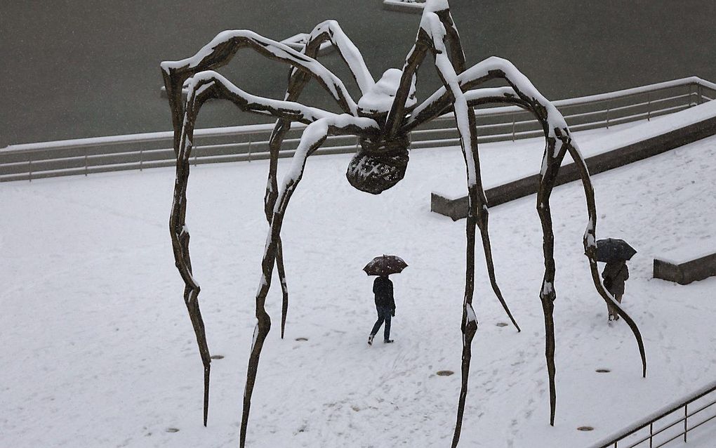 Een van de enorme spinnenkunstwerken van Louise Bourgeois. beeld EPA