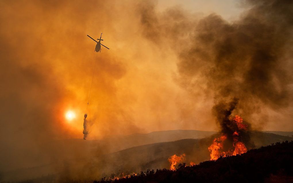 Branden bij Clearlake Oaks. beeld AFP