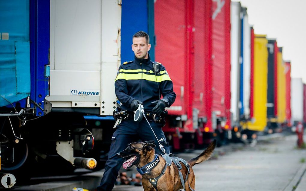 Een politieagent controleert op inklimmers in vrachtwagens. Voornamelijk Albanese migranten die naar het Verenigd Koninkrijk willen proberen in een vrachtwagen te klimmen om zo als verstekeling de overtocht te maken. beeld ANP