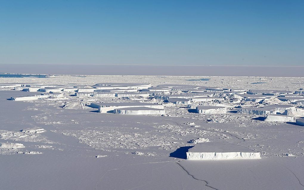 Tafelvormige ijsbergen in het noordelijke gedeelte van het Antarctisch Schiereiland. beeld EPA