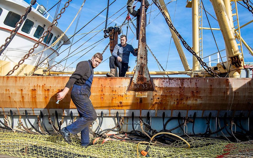 Een Urker vissersschip, uitgerust met pulstechniek. beeld ANP