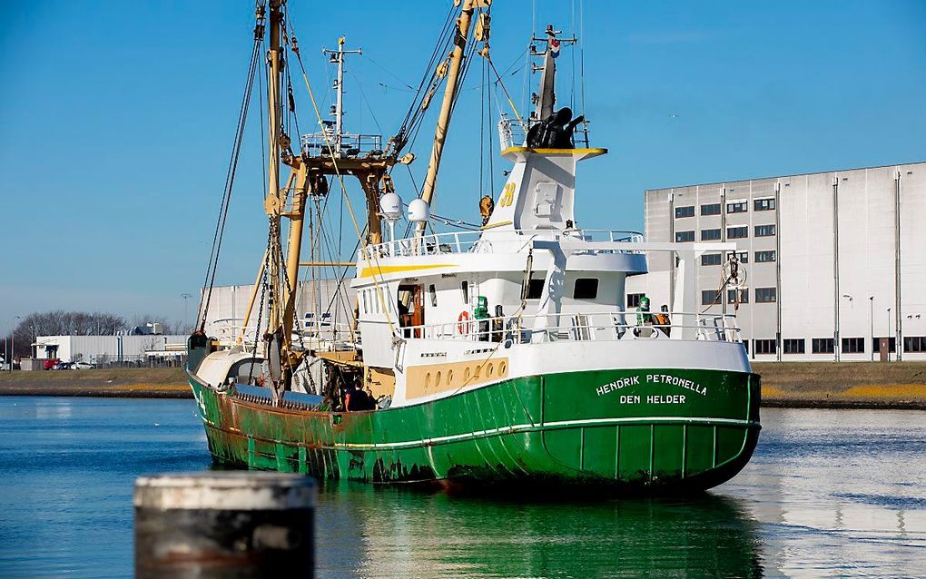 De pulskotter DH4 in de haven van Den Helder. beeld ANP