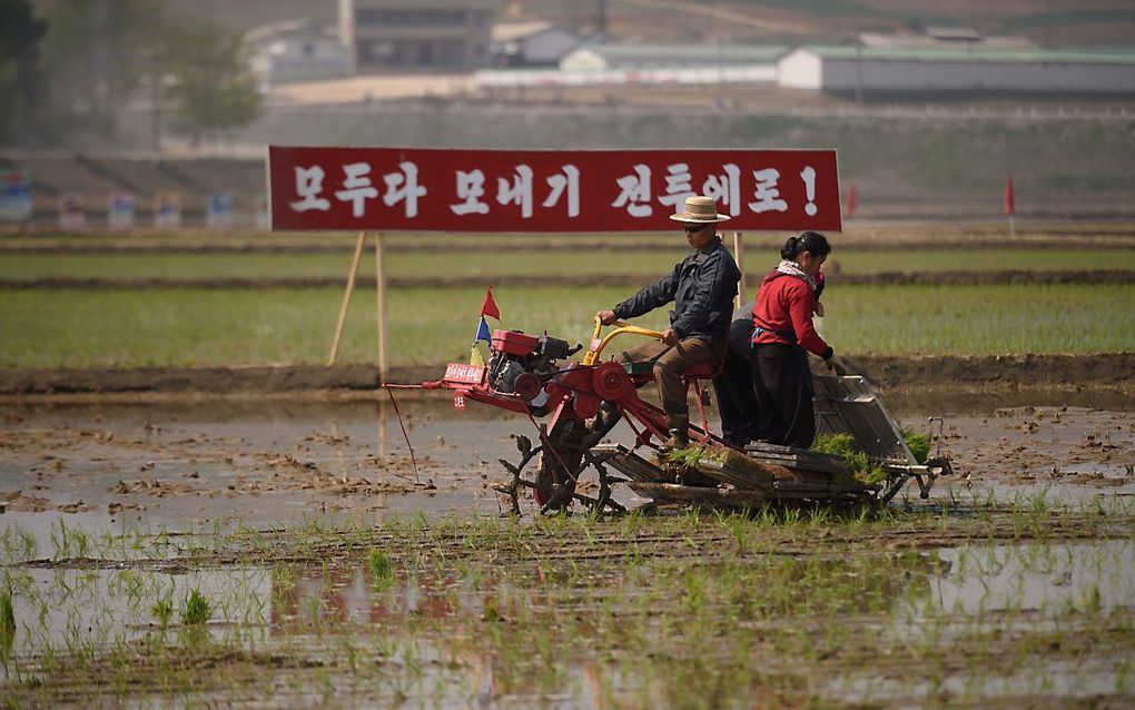 beeld AFP