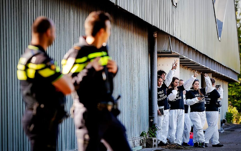 Dierenrechtenactivisten keken gisteren uit de deur van de Boxtelse stal die ze bezet hadden. beeld ANP