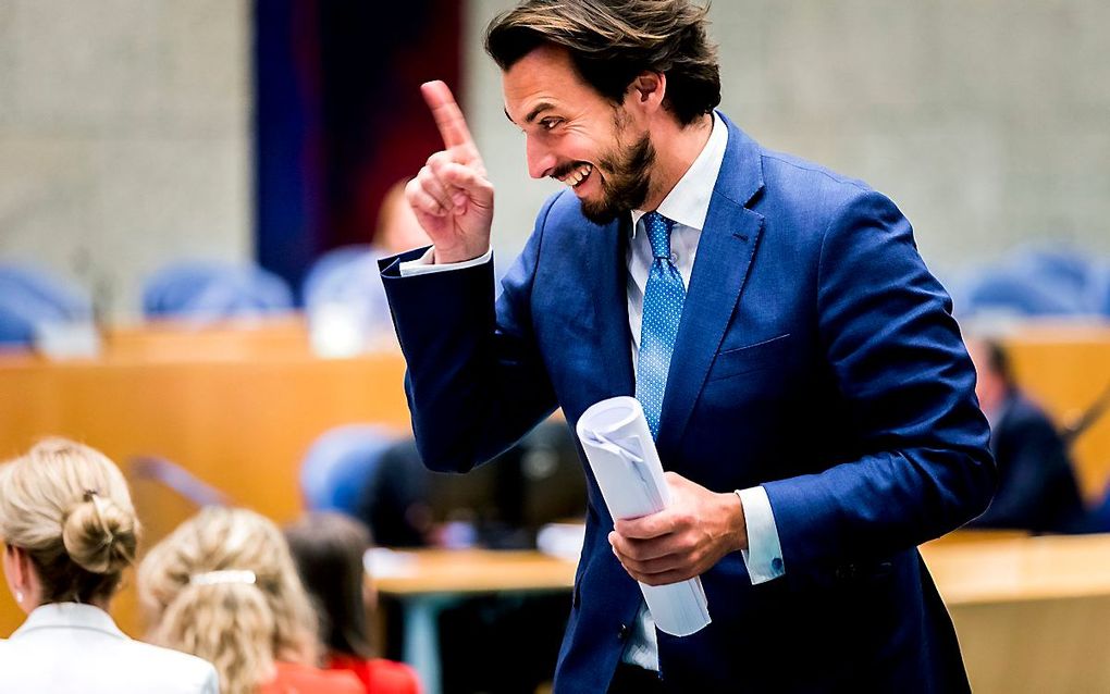 Baudet. beeld ANP